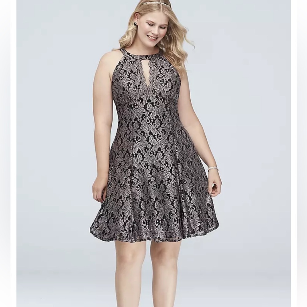 R & M Richards Lace Fit & Flare Halter Neck Cocktail Dress Sz 18